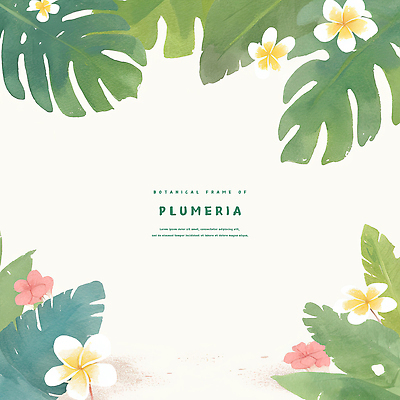 PSD 백그라운드 일러스트 수채화 사람없음 연두색 풀잎 플루메리아 트로피컬아트 연노랑색 국내일러스트 꽃 잎 초록색 노란색 풀_식물 그림 파일형식