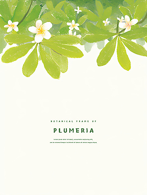 PSD 백그라운드 일러스트 수채화 사람없음 연두색 풀잎 플루메리아 트로피컬아트 연노랑색 국내일러스트 꽃 잎 초록색 노란색 풀_식물 그림 파일형식