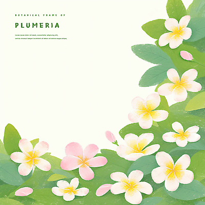 PSD 백그라운드 일러스트 수채화 사람없음 연두색 풀잎 플루메리아 트로피컬아트 연노랑색 국내일러스트 꽃 잎 초록색 노란색 풀_식물 그림 파일형식
