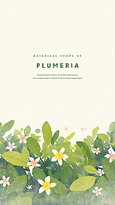 PSD 백그라운드 일러스트 수채화 사람없음 연두색 풀잎 플루메리아 트로피컬아트 연노랑색 국내일러스트 꽃 잎 초록색 노란색 풀_식물 그림 파일형식