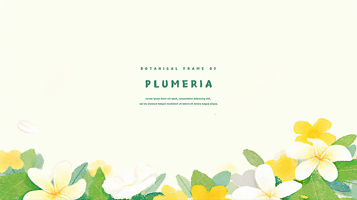 PSD 백그라운드 일러스트 수채화 사람없음 연두색 풀잎 플루메리아 트로피컬아트 연노랑색 국내일러스트 꽃 잎 초록색 노란색 풀_식물 그림 파일형식
