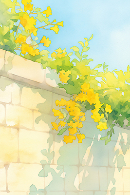 JPG 일러스트 자연 수채화 돌담 따뜻함 그림자 사람없음 햇빛 노란색 봄풍경 개나리 봄배경 국내일러스트 AI일러스트 AI콘텐츠 꽃 컬러 백그라운드 풍경 담장 태양 봄 돌_바위 생태계 파일형식