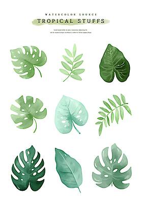 PSD 잎 일러스트 열대 수채화 사람없음 초록색 여름 열대식물 몬스테라 트로피컬아트 국내일러스트 식물 계절 컬러 그림 파일형식