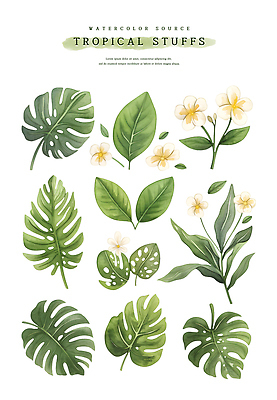 PSD 꽃 잎 일러스트 열대 수채화 사람없음 초록색 여름 열대식물 몬스테라 열대꽃 트로피컬아트 국내일러스트 식물 계절 컬러 그림 파일형식