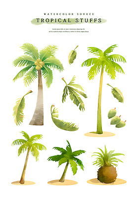 PSD 잎 일러스트 열대 수채화 사람없음 초록색 여름 야자수 열대식물 코코넛 야자수잎 트로피컬아트 국내일러스트 나무 식물 계절 컬러 과일 그림 파일형식