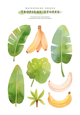 PSD 일러스트 열대 수채화 바나나 사람없음 초록색 여름 열대식물 바나나잎 트로피컬아트 국내일러스트 식물 계절 컬러 잎 과일 그림 파일형식