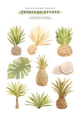 PSD 잎 일러스트 열대 수채화 사람없음 초록색 여름 야자수 갈색 열대식물 파인애플 몬스테라 트로피컬아트 국내일러스트 나무 식물 계절 컬러 과일 열대과일 그림 파일형식