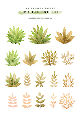 PSD 잎 일러스트 열대 수채화 사람없음 초록색 여름 갈색 열대식물 트로피컬아트 국내일러스트 식물 계절 컬러 그림 파일형식