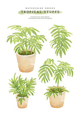 PSD 화분 잎 일러스트 열대 수채화 사람없음 초록색 여름 열대식물 트로피컬아트 국내일러스트 식물 계절 컬러 그림 파일형식