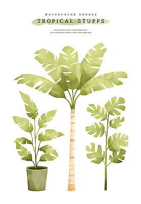 PSD 화분 잎 일러스트 열대 수채화 사람없음 초록색 여름 야자수 열대식물 몬스테라 트로피컬아트 국내일러스트 나무 식물 계절 컬러 그림 파일형식