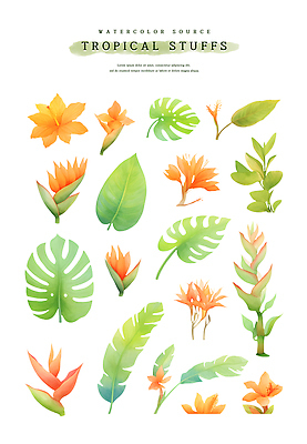 PSD 꽃 잎 일러스트 열대 수채화 사람없음 초록색 여름 열대식물 몬스테라 열대꽃 헬리코니아 트로피컬아트 국내일러스트 식물 계절 컬러 그림 파일형식