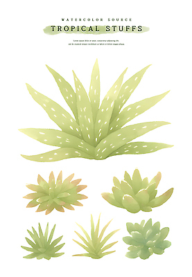 PSD 잎 일러스트 열대 수채화 사람없음 초록색 여름 열대식물 드라세나 트로피컬아트 국내일러스트 식물 계절 컬러 그림 파일형식