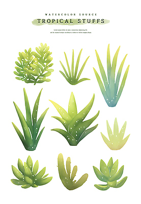 PSD 잎 일러스트 열대 수채화 사람없음 초록색 여름 열대식물 드라세나 트로피컬아트 국내일러스트 식물 계절 컬러 그림 파일형식