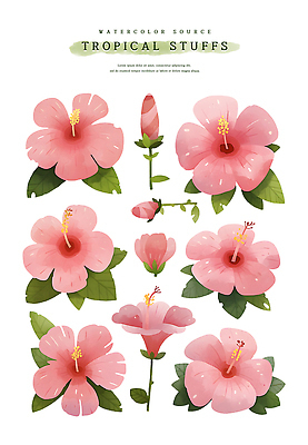 PSD 분홍색 잎 일러스트 열대 수채화 사람없음 여름 꽃봉오리 열대꽃 히비스커스 트로피컬아트 국내일러스트 식물 계절 꽃 컬러 그림 파일형식