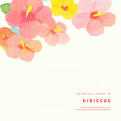 PSD 분홍색 잎 일러스트 열대 사람없음 열대꽃 히비스커스 트로피컬아트 국내일러스트 식물 꽃 컬러 그림 파일형식