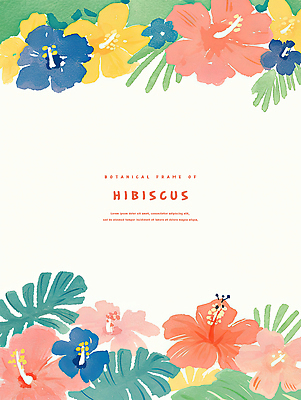 PSD 잎 일러스트 열대 사람없음 컬러풀 몬스테라 열대꽃 히비스커스 트로피컬아트 국내일러스트 식물 꽃 컬러 그림 파일형식