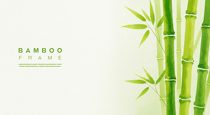 PSD 백그라운드 일러스트 수채화 사람없음 연두색 대나무 대나무잎 카피스페이스 국내일러스트 나무 잎 초록색 공백 파일형식