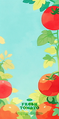 PSD 하늘색 잎 토마토 일러스트 수채화 프레임 사람없음 카피스페이스 국내일러스트 식물 채소 파란색 공백 파일형식