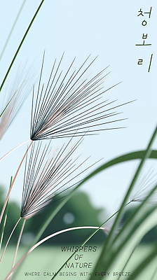 PSD 구름 편집이미지 하늘색 하늘 초원 사람없음 풀 청보리 이미지편집 자연요소 식물 파란색 보리 파일형식