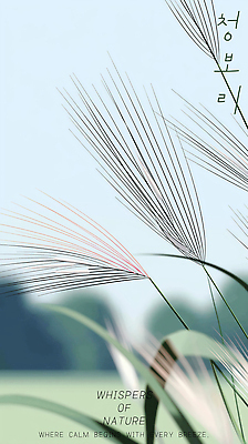 PSD 구름 편집이미지 하늘색 하늘 초원 사람없음 풀 청보리 이미지편집 자연요소 식물 파란색 보리 파일형식