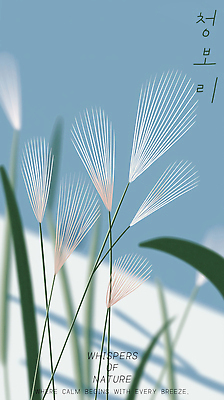 PSD 편집이미지 하늘색 사람없음 풀 청보리 이미지편집 식물 파란색 보리 파일형식