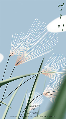 PSD 구름 편집이미지 하늘색 하늘 사람없음 풀 청보리 이미지편집 자연요소 식물 파란색 보리 파일형식