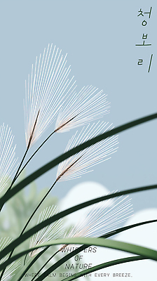 PSD 구름 편집이미지 하늘색 하늘 사람없음 풀 청보리 이미지편집 자연요소 식물 파란색 보리 파일형식