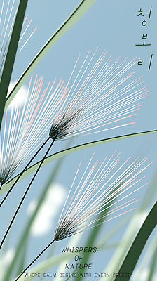PSD 구름 편집이미지 하늘색 하늘 사람없음 풀 청보리 이미지편집 자연요소 식물 파란색 보리 파일형식