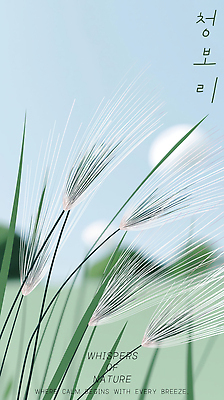 PSD 구름 편집이미지 하늘색 하늘 초원 사람없음 풀 청보리 이미지편집 자연요소 식물 파란색 보리 파일형식