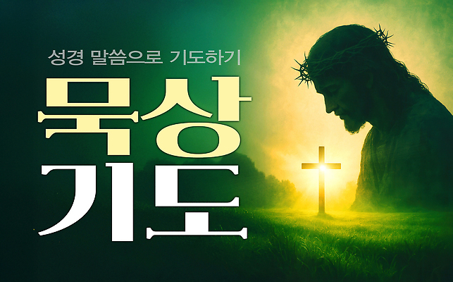 PSD 편집이미지 남자 실루엣 기독교 십자가 한명 잔디 상반신 성인 연두색 빛 눈감음 기도 예수 예배 가시면류관 성인남자한명만 성경말씀 이미지편집 식물 1 종교 종교용품 모션 촬영기법 사람 초록색 신_종교 남자한명만 성인남자만 파일형식