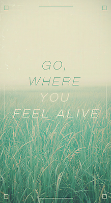 PSD 편집이미지 사람없음 표어 카드 메시지 청록색 갈대밭 감성 이미지편집 컬러 컨셉 파일형식 갈대_식물