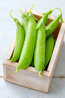 JPG 편집이미지 사람없음 연두색 나무상자 완두콩 나무탁자 편집실사 AI포토 AI콘텐츠 탁자 콩 초록색 상자 CG 파일형식