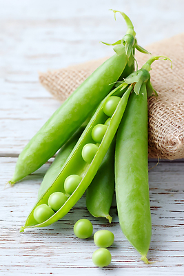 JPG 편집이미지 사람없음 연두색 완두콩 자루 나무탁자 편집실사 AI포토 AI콘텐츠 탁자 콩 초록색 CG 파일형식