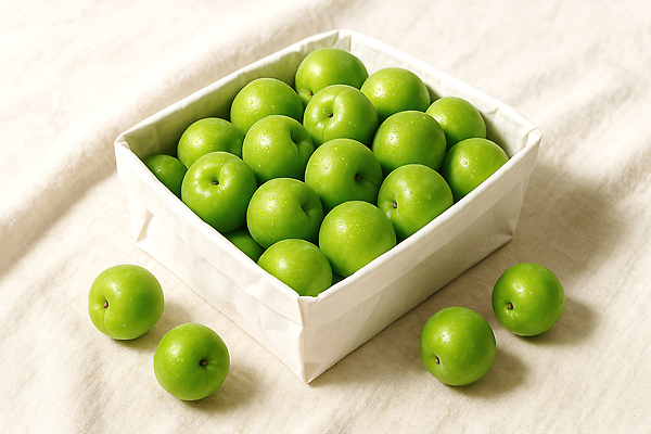 JPG 편집이미지 사람없음 상자 수분 천 담기 매실 편집실사 AI포토 AI콘텐츠 모션 직물 CG 파일형식