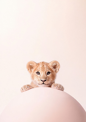 JPG 편집이미지 새끼 분홍색 사람없음 귀여움 원형 사자 편집실사 AI포토 AI콘텐츠 도형 동물 컬러 컨셉 포유류 CG 파일형식