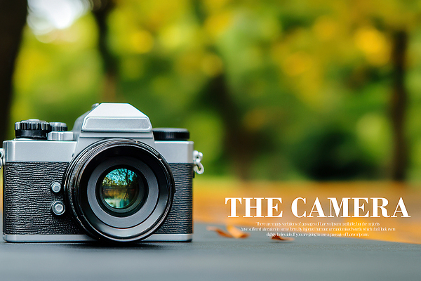 PSD 편집이미지 잎 사진 취미 사람없음 야외 카메라렌즈 필름카메라 이미지편집 식물 카메라 파일형식