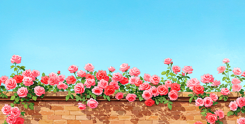 JPG 구름 잎 꽃백그라운드 일러스트 자연 하늘 수채화 그림자 풍경 사람없음 장미 정원 봄풍경 벽돌담 국내일러스트 AI일러스트 AI콘텐츠 자연요소 식물 꽃 백그라운드 벽돌 담장 봄 생태계 파일형식