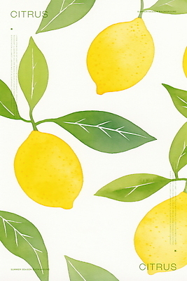 PSD 백그라운드 잎 패턴 일러스트 수채화 사람없음 초록색 노란색 레몬 국내일러스트 식물 컬러 무늬 과일 파일형식