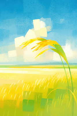 JPG 구름 밭 일러스트 하늘 사람없음 농작물 노란색 벼 수확철 국내일러스트 AI일러스트 자연요소 컬러 농업 곡류 수확 파일형식 AI콘텐츠