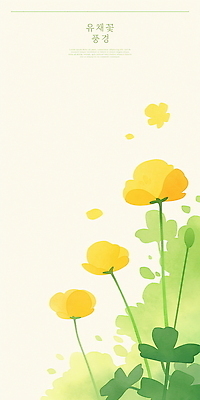 PSD 디자인 꽃 일러스트 봄꽃 수채화 사람없음 제주도 노란색 봄 유채 힐링 국내일러스트 식물 계절 컬러 한국 파일형식