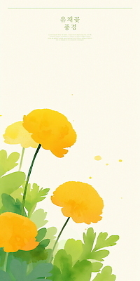 PSD 디자인 꽃 일러스트 봄꽃 수채화 사람없음 제주도 노란색 봄 유채 힐링 감성 국내일러스트 식물 계절 컬러 컨셉 한국 파일형식