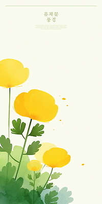 PSD 디자인 꽃 일러스트 봄꽃 수채화 사람없음 제주도 노란색 봄 유채 힐링 감성 국내일러스트 식물 계절 컬러 컨셉 한국 파일형식