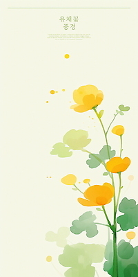 PSD 디자인 꽃 일러스트 봄꽃 수채화 사람없음 제주도 노란색 봄 유채 힐링 감성 국내일러스트 식물 계절 컬러 컨셉 한국 파일형식