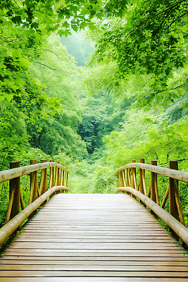 JPG 나무 편집이미지 사람없음 봄풍경 숲속 등산로 가교 편집실사 AI포토 AI콘텐츠 식물 건축물 풍경 봄 등산 숲 CG 파일형식