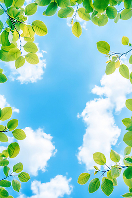 JPG 구름 편집이미지 하늘 나뭇잎 사람없음 나뭇가지 편집실사 AI포토 AI콘텐츠 자연요소 나무 잎 CG 파일형식