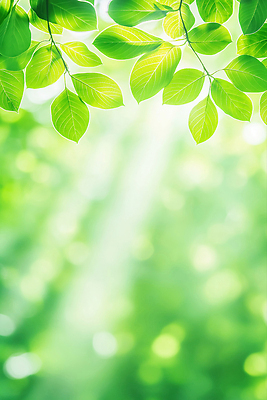 JPG 편집이미지 나뭇잎 사람없음 빛 햇빛 나뭇가지 보케 편집실사 AI포토 AI콘텐츠 나무 잎 태양 CG 파일형식