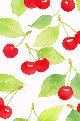 JPG 잎 패턴 일러스트 수채화 사람없음 체리 국내일러스트 AI일러스트 AI콘텐츠 식물 무늬 과일 파일형식