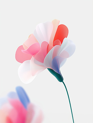 JPG 편집이미지 분홍색 추상 사람없음 흰색 카네이션 편집실사 AI컴퓨터그래픽 AI콘텐츠 꽃 컬러 무늬 CG 파일형식