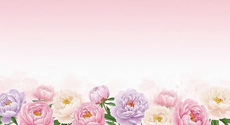 JPG 분홍색 잎 일러스트 수채화 사람없음 꽃프레임 작약 국내일러스트 AI일러스트 AI콘텐츠 식물 꽃 컬러 프레임 파일형식