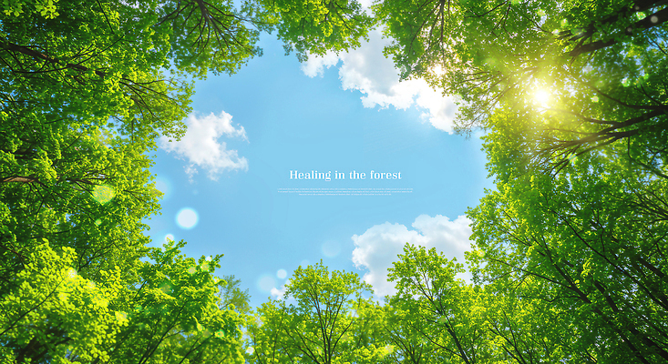 PSD 나무 구름 편집이미지 자연 하늘 나뭇잎 사람없음 초록색 햇빛 깨끗함 숲속 에코 보케 청정 이미지편집 자연요소 식물 컬러 컨셉 잎 태양 환경 숲 생태계 파일형식